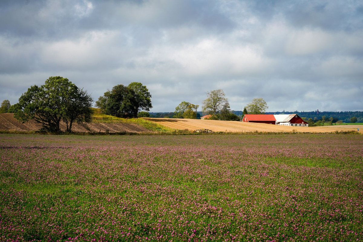 Farm fields and barn — Hazelmere's agricultural countryside, Surrey BC