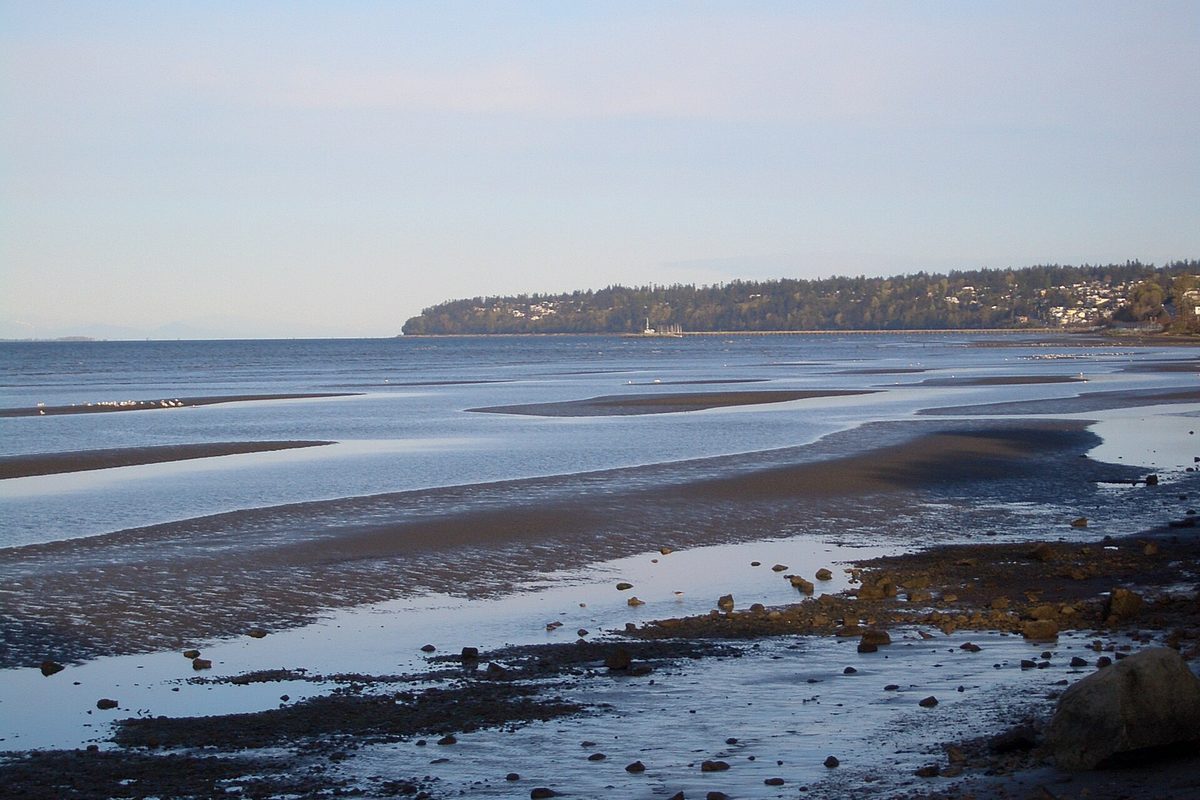 Semiahmoo Bay tidal flats near Pacific Douglas, South Surrey