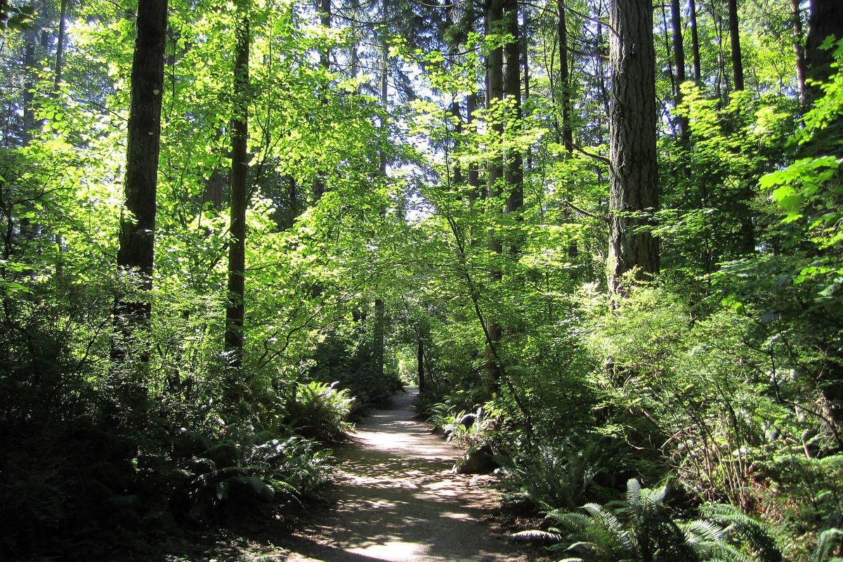 Forest trail through Sunnyside Acres Urban Forest, South Surrey